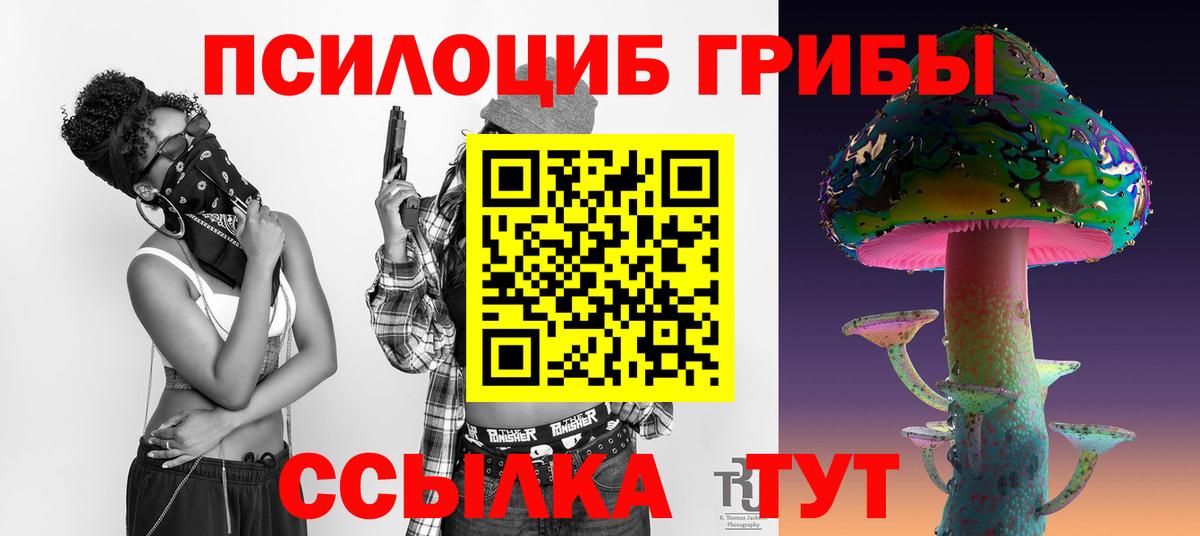 Галлюциногенные грибы MAGIC MUSHROOMS  Псилоцибиновые грибы мицелий  Вятские Поляны  наркотики  Вход с VPN 