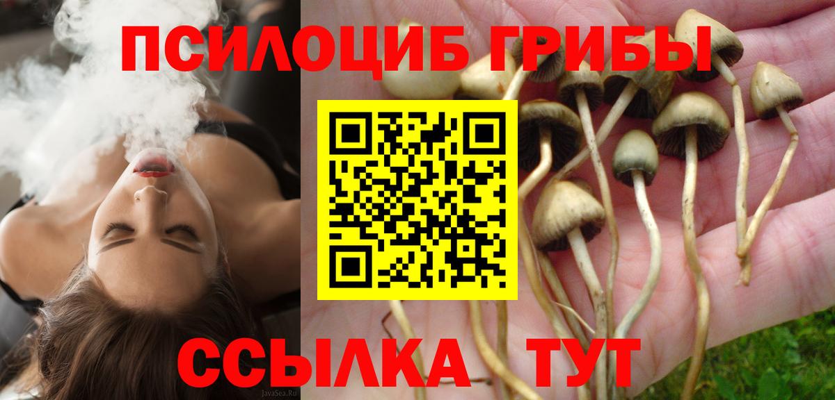 Псилоцибиновые грибы Psilocybine cubensis Вятские Поляны